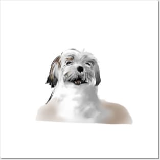 Cute Dog - Shih-Poo Des! Posters and Art